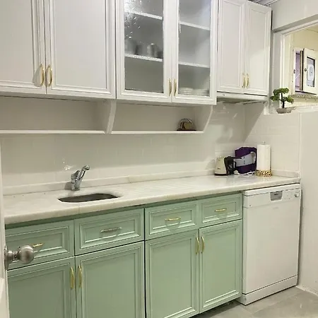 Demirtas House イスタンブール