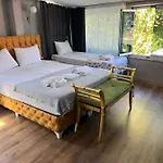 Apartment Demirtas House *