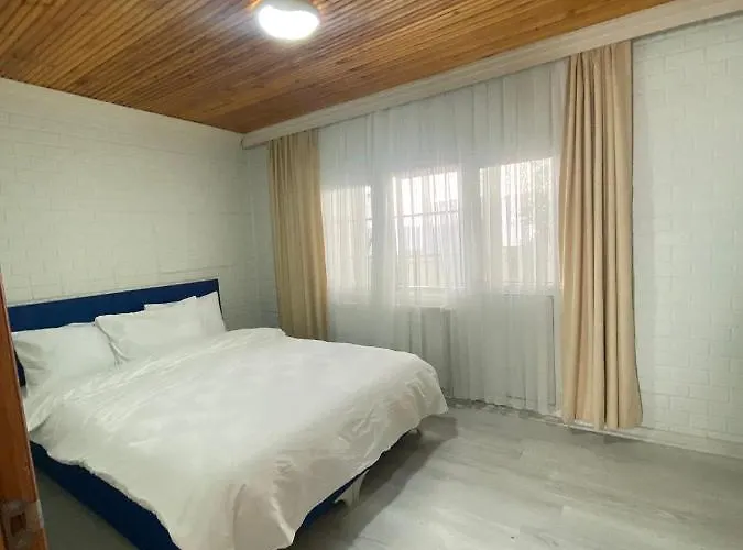 Demirtas House 公寓 *