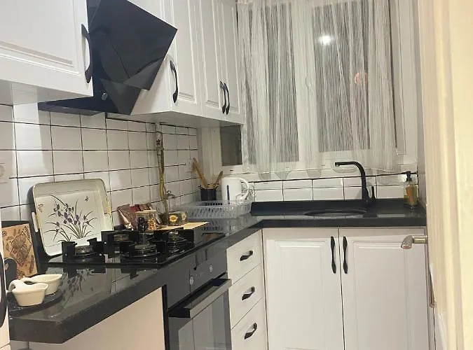 Demirtas House 公寓 *