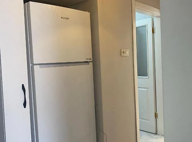 Demirtas House 公寓 *