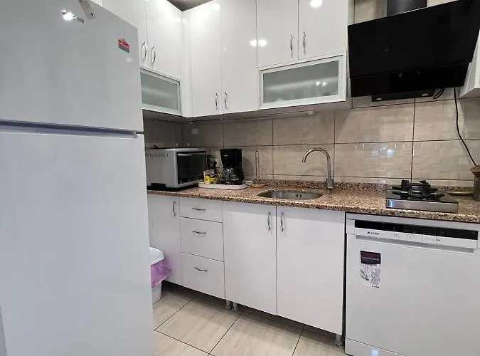 Demirtas House 公寓 伊斯坦布尔