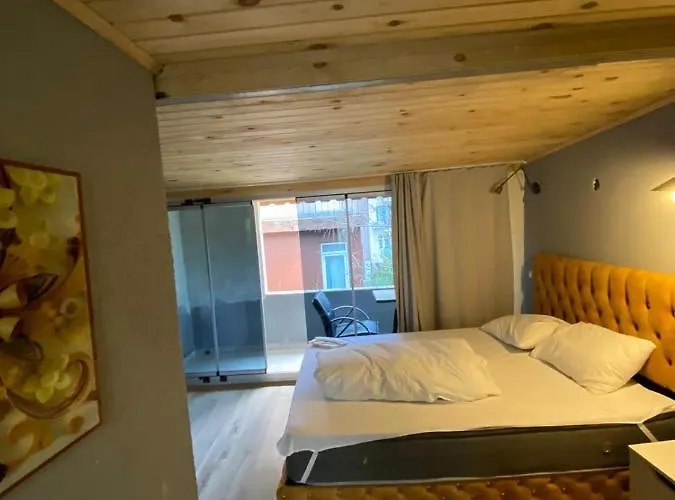 公寓 Demirtas House