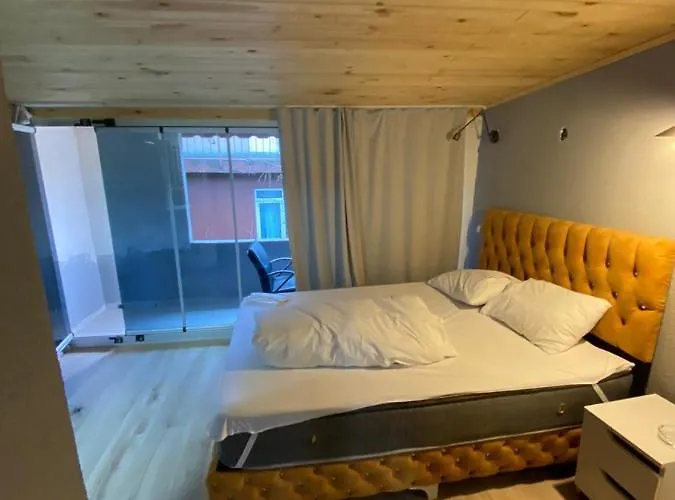 Demirtas House 伊斯坦布尔