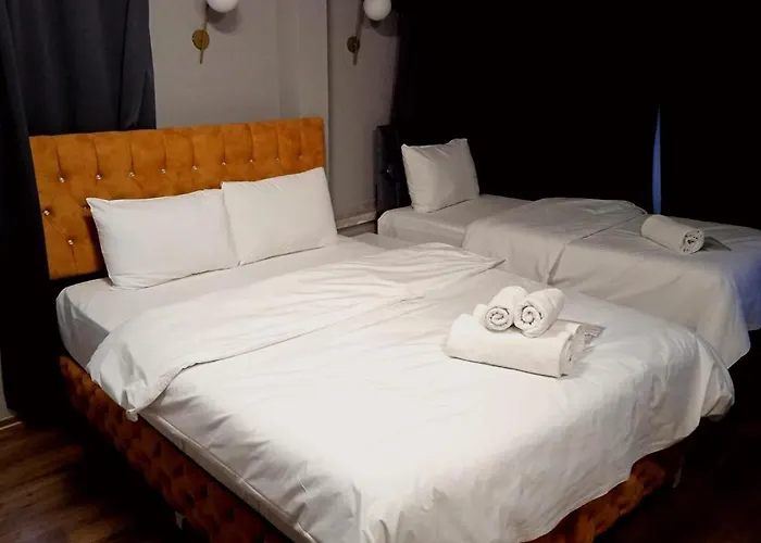 Demirtas House 伊斯坦布尔