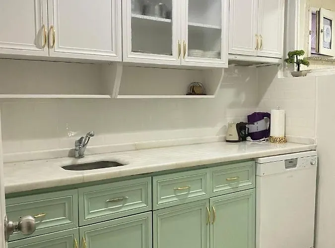 Demirtas House 伊斯坦布尔