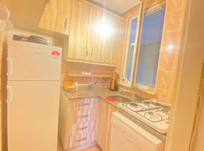 Demirtas House 伊斯坦布尔