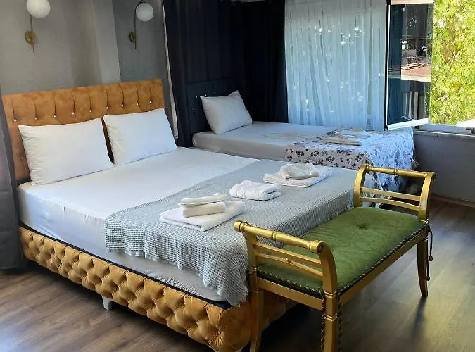 Demirtas House 公寓 伊斯坦布尔