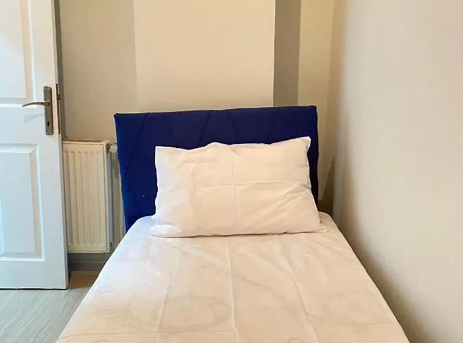 公寓 Demirtas House