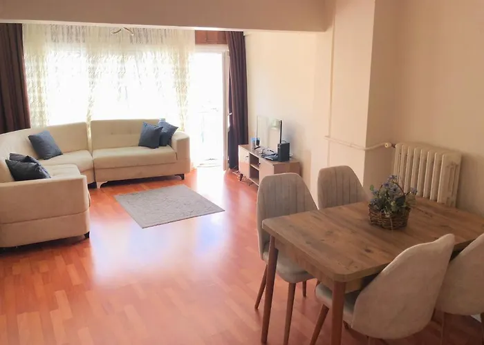 公寓 Demirtas House 伊斯坦布尔