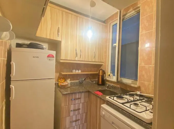 公寓 Demirtas House 伊斯坦布尔