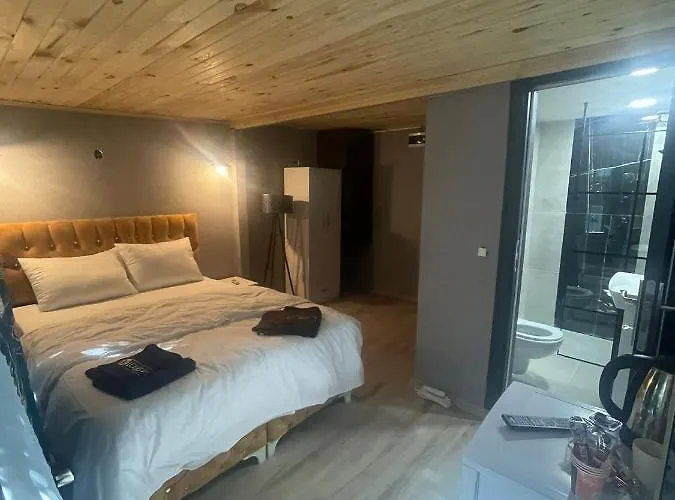 公寓 Demirtas House 伊斯坦布尔