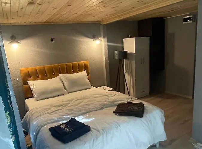 Demirtas House 公寓