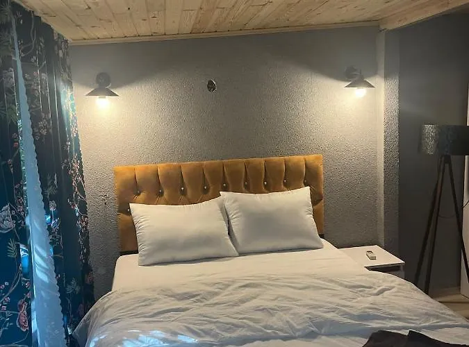 Demirtas House 公寓 *