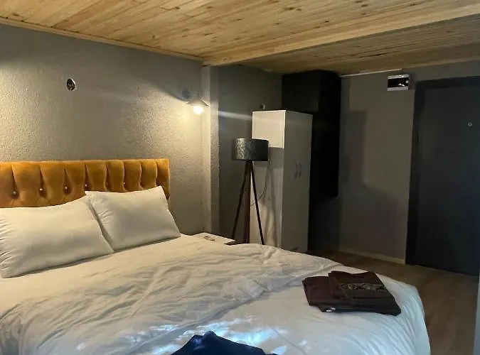 公寓 Demirtas House *