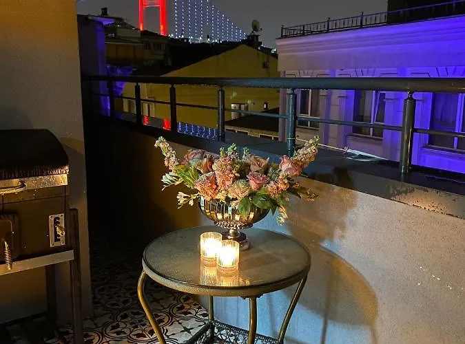 公寓 Demirtas House *