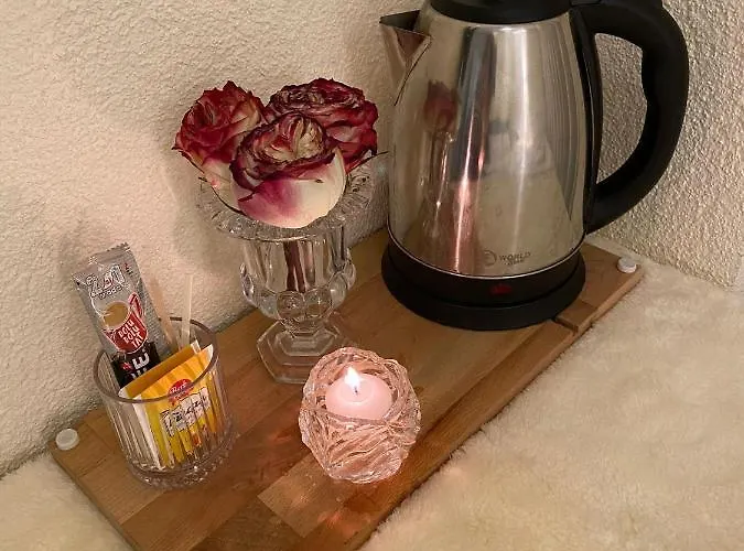 Demirtas House * 伊斯坦布尔