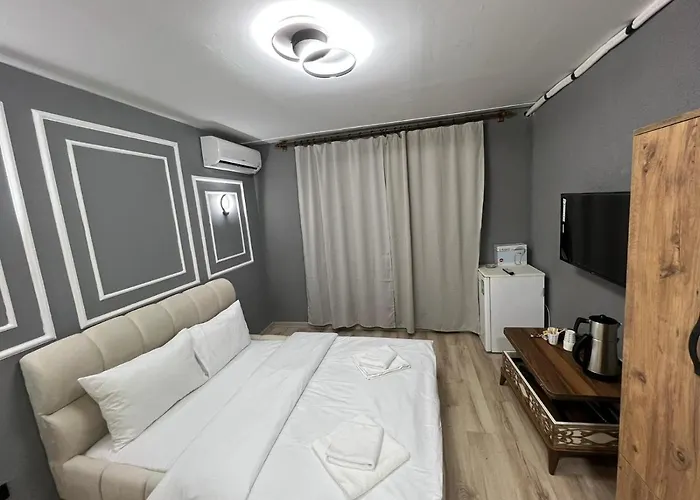 Demirtas House 伊斯坦布尔