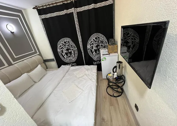 Demirtas House 公寓 伊斯坦布尔