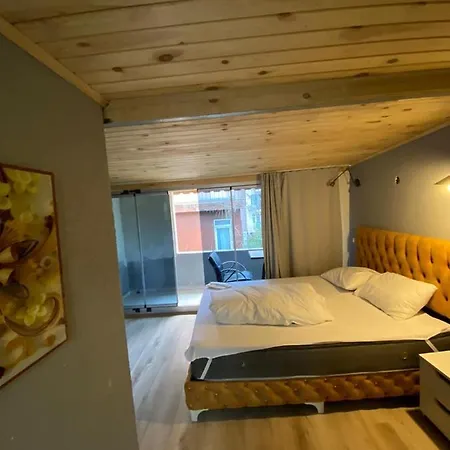 Apartmán Demirtas House