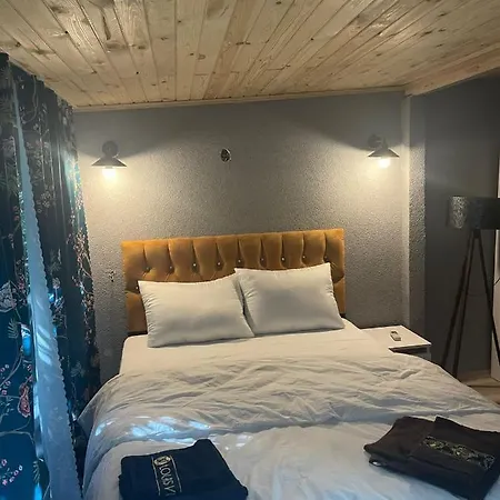 Demirtas House Apartmán *